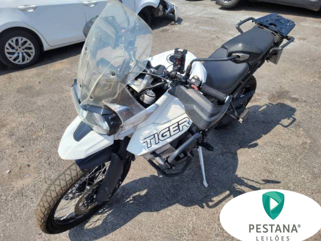 TRIUMPH TIGER 20/20